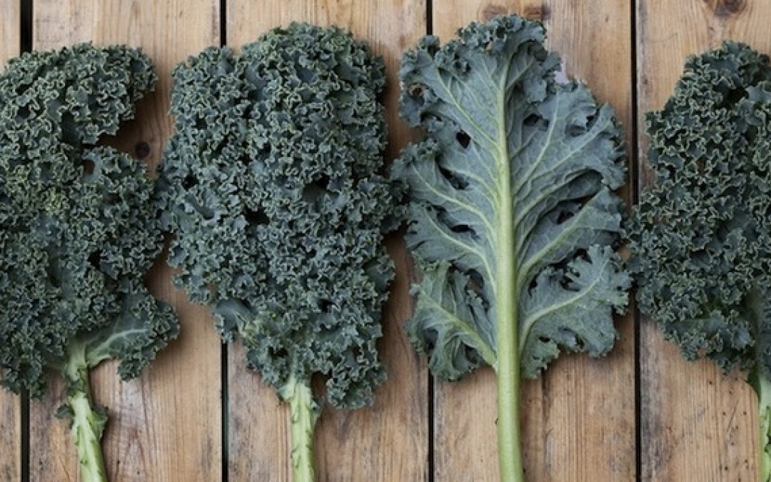 Baked Kale Chips